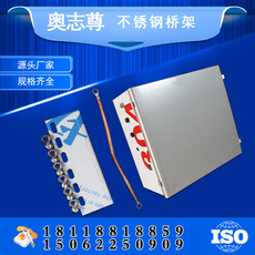 奧誌尊 不鏽鋼橋架槽式（shì）梯（tī）式304 201 不鏽鋼（gāng）線（xiàn）槽防（fáng）鏽防腐 100*75
