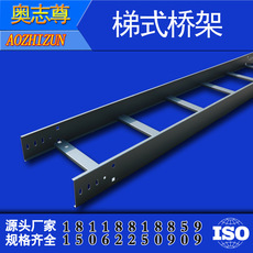 梯式橋架 噴（pēn）塑橋架 防火橋架 鍍鋅梯式橋架500*100*1.5