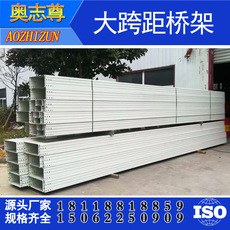 大跨距梯式橋架 一次（cì）成型槽式橋架 噴塑鍍鋅（xīn）橋架 300*100